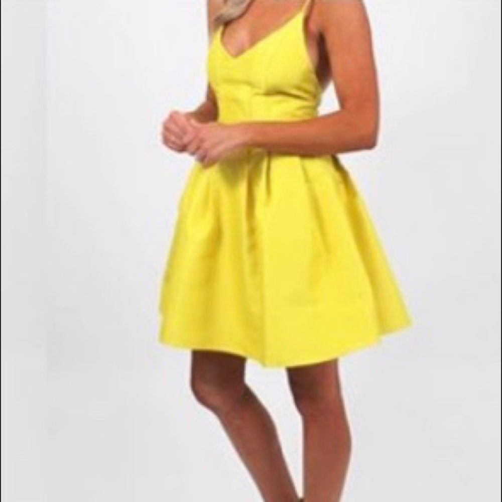 Bright mustard yellow fit and flare dress.